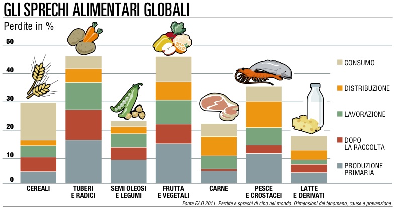 spreco cibo